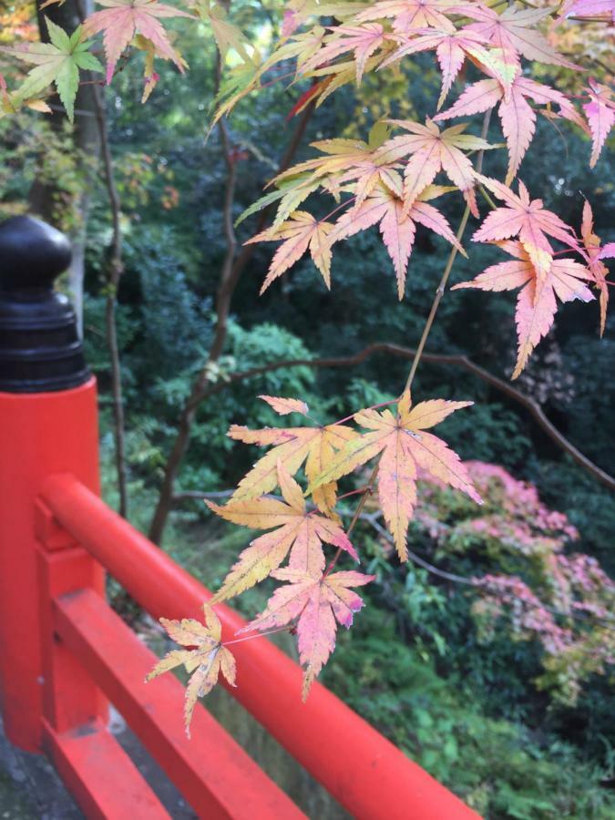 Kyo-Anthu Inn 京都 外观 照片