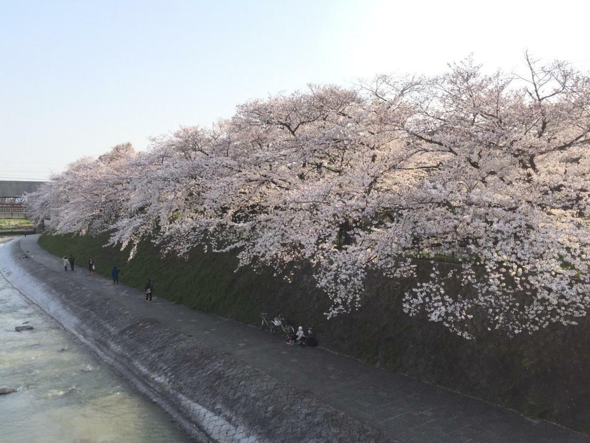 Kyo-Anthu Inn 京都 外观 照片